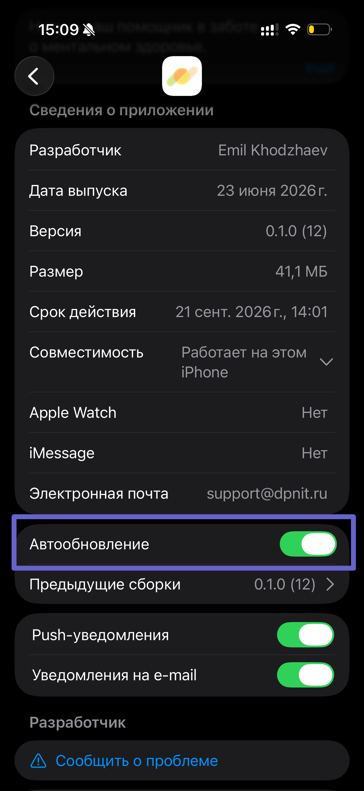 TestFlight screen with automatic updates enabled